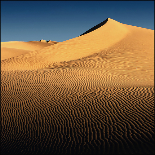 Dunes Of Sahara