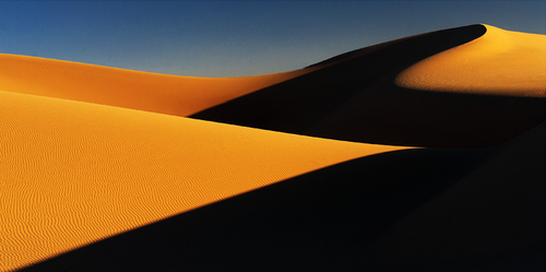 THE DUNE