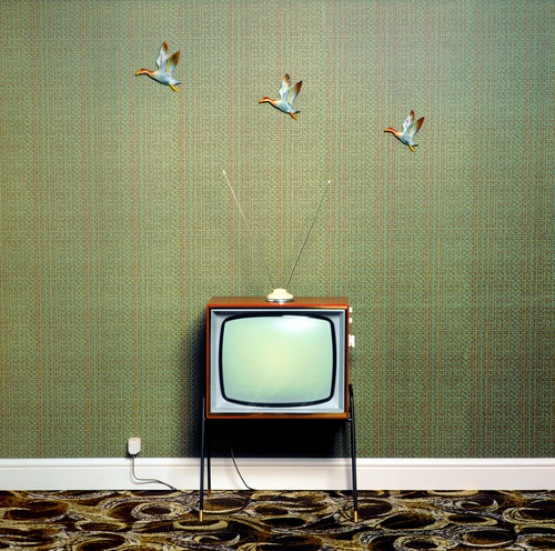 TV with Ducks