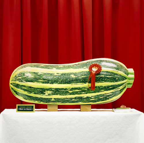 Best of show