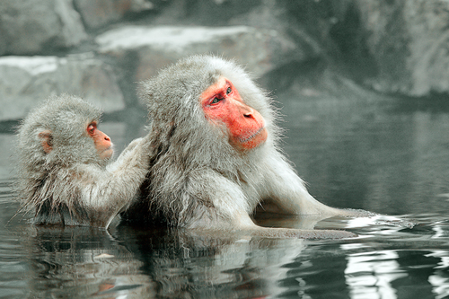 Mom's Blissful Moment