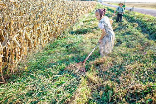 Making Natural Fertilizer