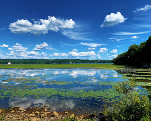 The River