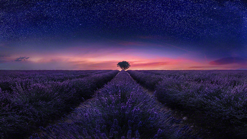 Eternal