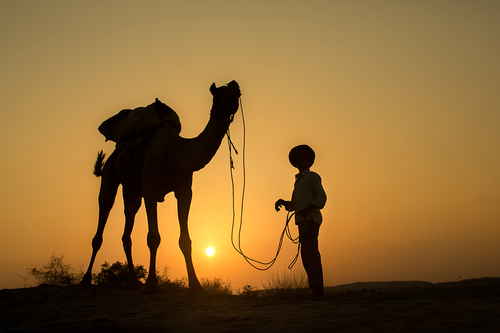Camel Boy