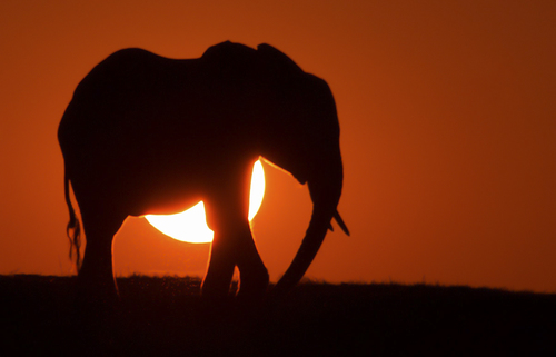 Africa Sunset