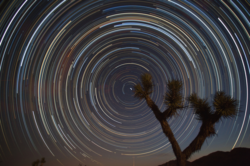 Star Trails