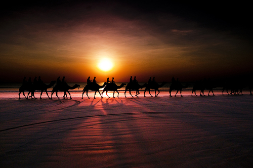 Camel Ride