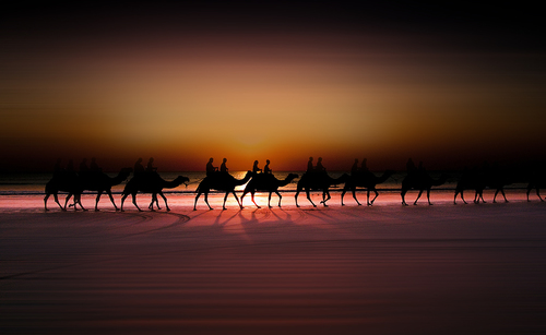 Camel Ride