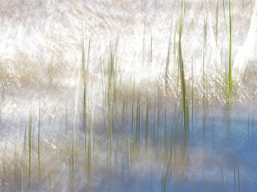 Sunlit Waters