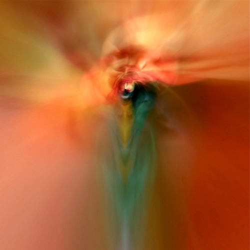 Rise