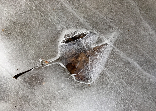 Iceolation