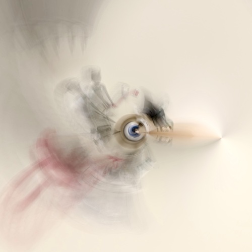 RoboBird