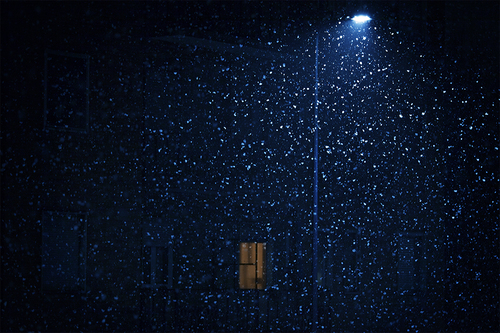 Winter Night