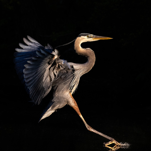Water Landing
