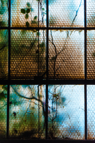 Dawn Window 2