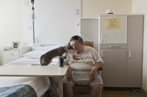 Sandy\'s Last Days