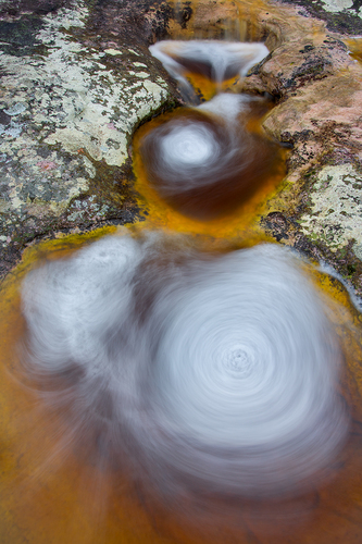 Cycles of Life
