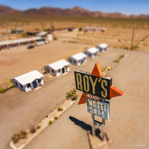 Roy's Amboy