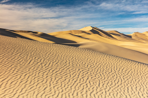 Brain Waves of the Cosmic Dune