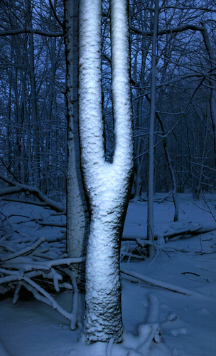 Flash Snow