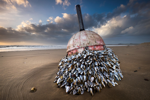 Clinging To A Buoy at the Beach