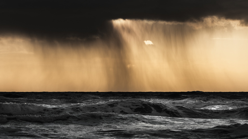Evening Curtains