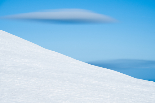 Snowy Blues