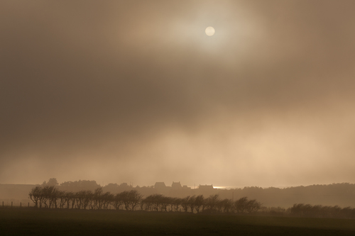 Sunlight Beyond