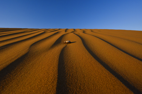 Golden sand