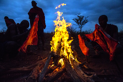 Masai Cow Slaughter