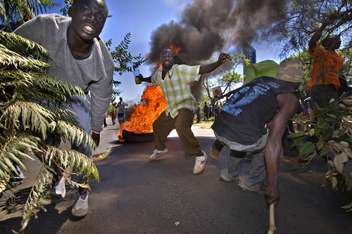 Election Fighters