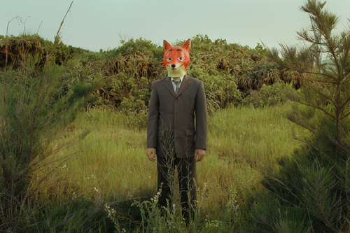 Mr.FOX