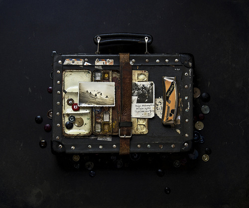 Memory Case