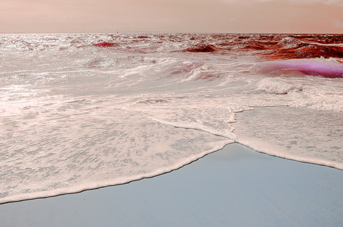 Poetry of the Wave