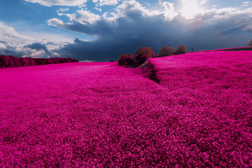 The Valley of Dreams I