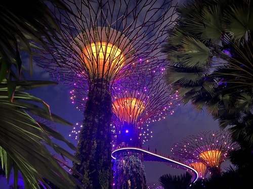 Singapore Magic