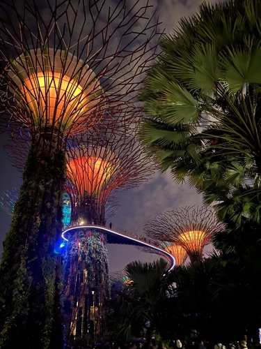 Singapore Magic V
