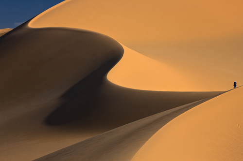 Forms