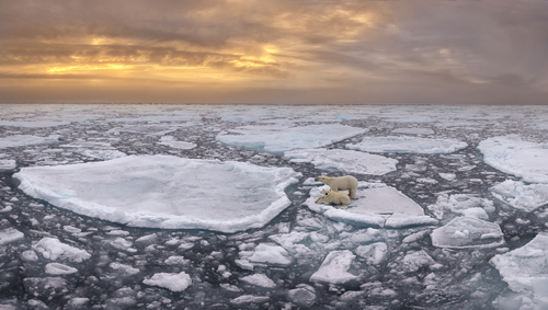 Arctic Landscape