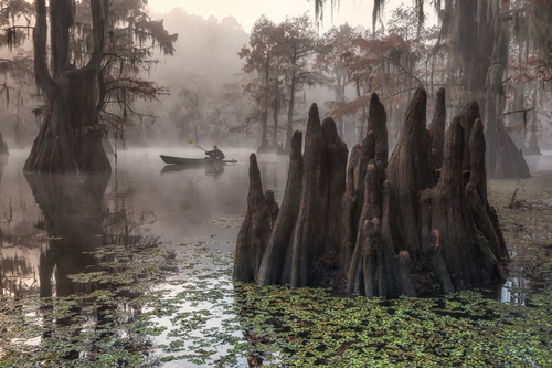 Sentinels of Swamps  6