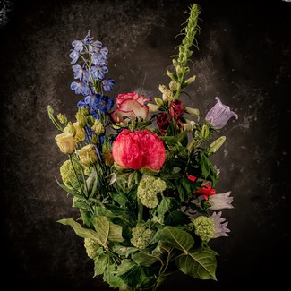 Color Awards Winners and Nominees