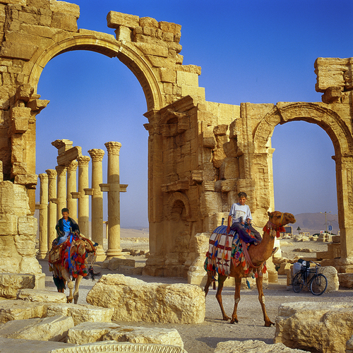 Palmyra