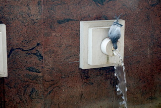 Color Awards Winners and Nominees