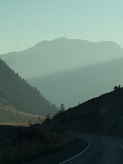 Color Awards Winners and Nominees