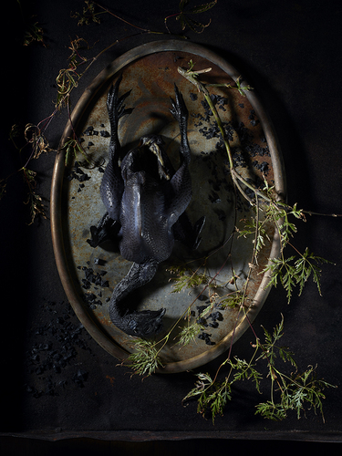 Dark Mirror
