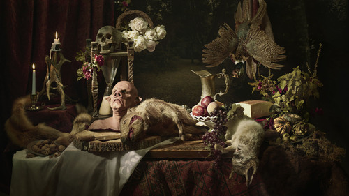 Still Life Nov 2014