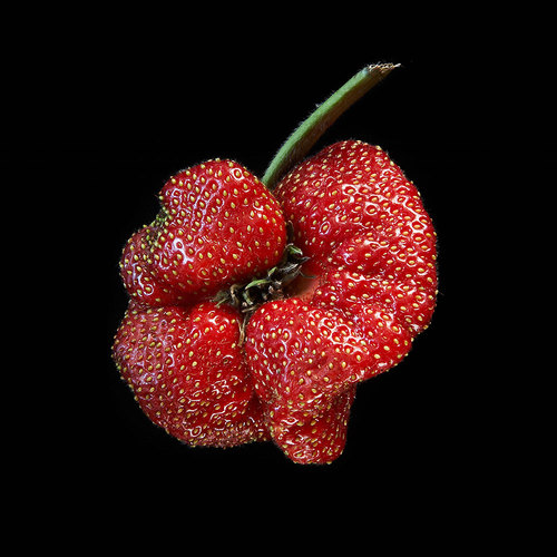 Organic Strawberry