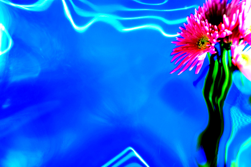 Abstract Flower #6