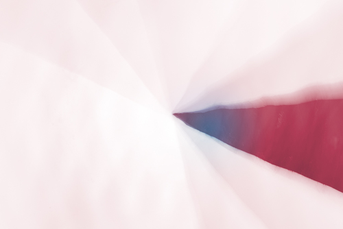 Color of Mind II